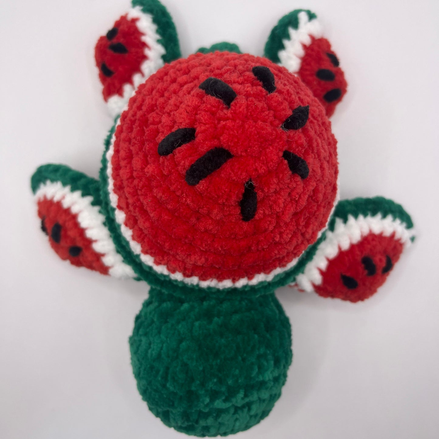 Watermelon Turtle Crochet Plushie