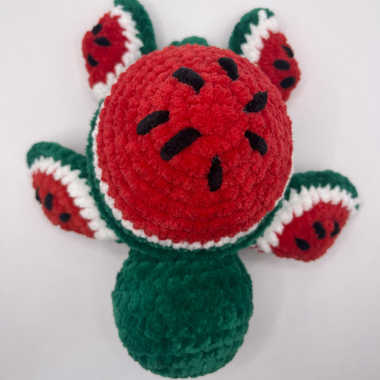 Watermelon Turtle Crochet Plushie