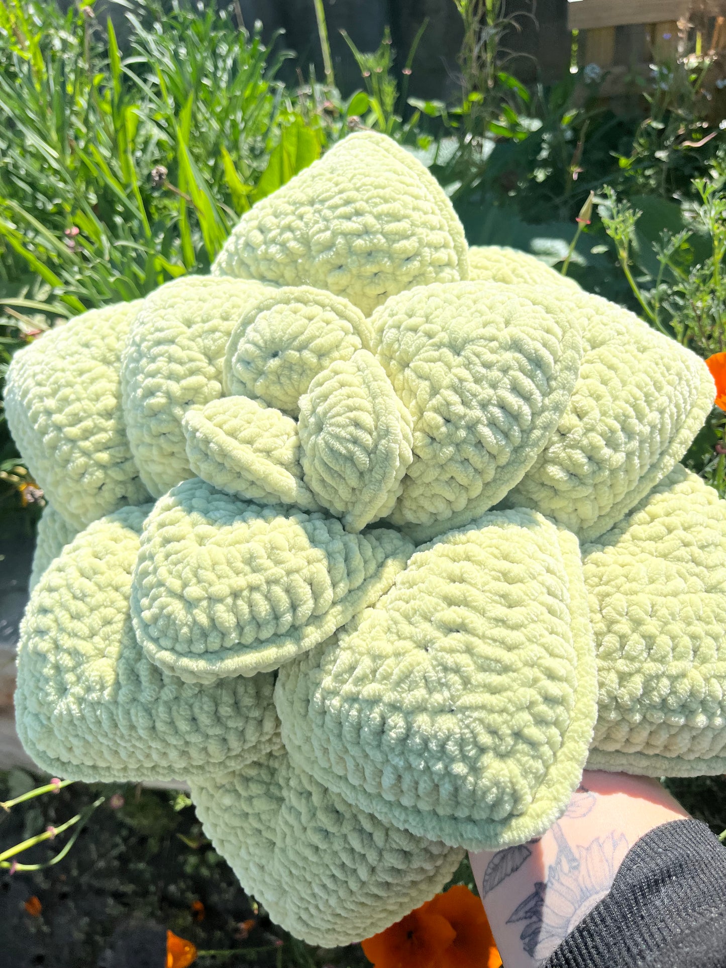 Succulent Cushion