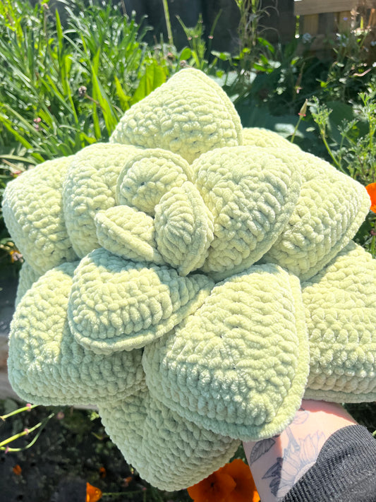 Succulent Cushion