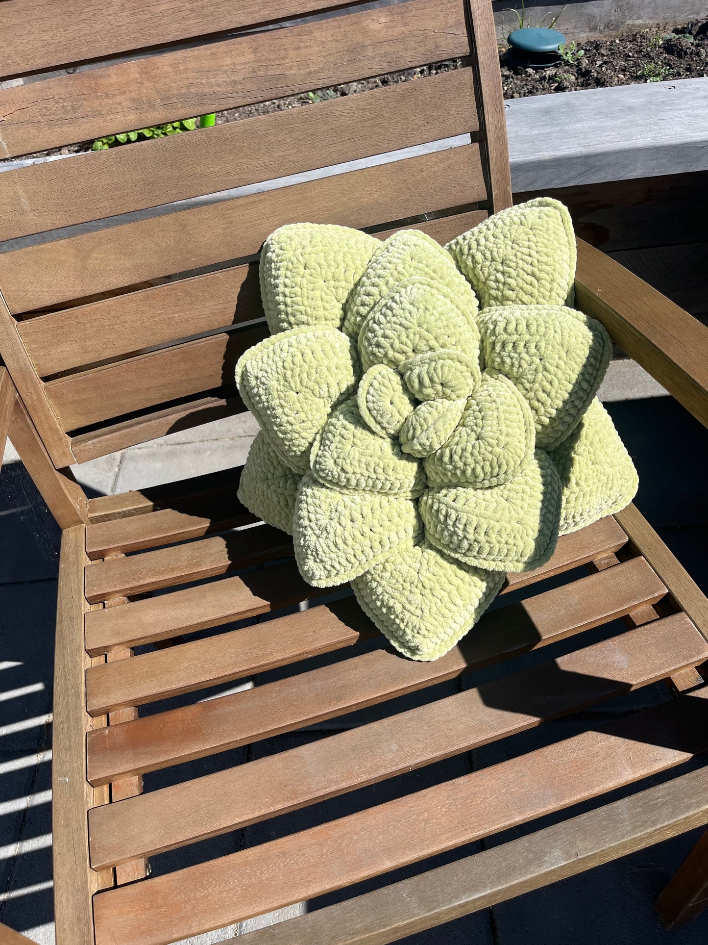 Succulent Cushion